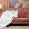 Одеяло кассетное GERMAN GRASS ROYAL DOWN GRASS 220х240 всесезонное Light