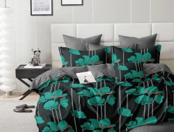 Постельное белье из микросатина TANGO шималле 50х70 (1шт), 70х70 (1шт) 1,5-спальное