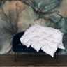 Одеяло кассетное GERMAN GRASS ROYAL DOWN GRASS 220х240 очень теплое