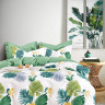 Постельное белье из твил-сатина TANGO ферна 70х70 (2шт) 1,5-спальное