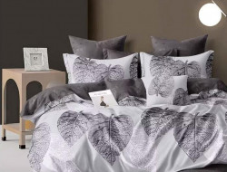 Постельное белье из сатина АЛЬВИТЕК CA-7-701 50х70 (2шт), 70х70 (2шт) семейное