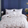 Постельное белье из египетского хлопка Premium ASABELLA Нежные мечты 50х70 (2шт) и 70х70 (2шт) евро