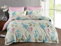 Постельное белье из египетского хлопка Premium ASABELLA 1381-6 50х70 (2шт) и 70х70 (2шт) евро