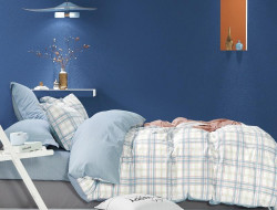 Постельное белье из сатина TANGO TS04-X257 50х70 (2шт), 70х70 (2шт) евро