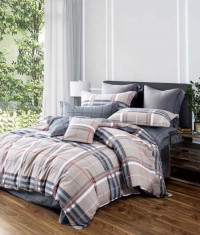 Постельное белье из твила в ПВХ TANGO TPIG3-1160 50х70 (2шт) евро