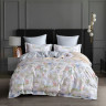 Постельное белье из египетского хлопка Premium ASABELLA Акварель 50х70 (2шт) и 70х70 (2шт) евро