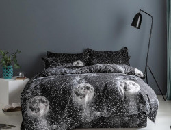 Постельное белье из микросатина TANGO DREAM FLY DF-394-70 70х70 (2шт) 2-спальное