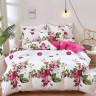 Постельное белье двухстороннее из твила TANGO роузи 50х70 (2шт), 70х70 (2шт) евро
