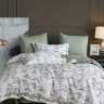 Постельное белье из египетского хлопка Premium ASABELLA Веточки весны 50х70 (2шт) и 70х70 (2шт) евро