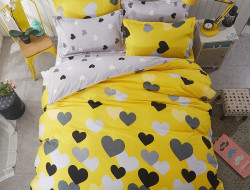 Постельное белье из микросатина TANGO DREAM FLY DF-115 50х70 (1шт), 70х70 (1шт) 1,5-спальное