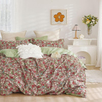 Постельное белье из твила TANGO TPIG6-1836 50х70 (2шт), 70х70 (2шт) евро