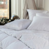 Подушка трехкамерная с бортиком GERMAN GRASS 3D WHITE FAMILIE DOWN упругая 68х68